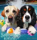 Summer Memories