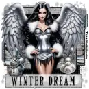 Christmas Winter Angel glitter