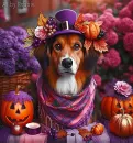 Beautiful Dog / Halloween