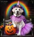 Beautiful Dog / Halloween #2