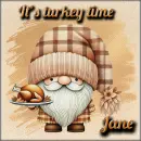 Gnome - Turkey time - Jane 