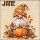 Gnome Sticker