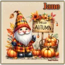 Hello Autumn - Gnome - Jane 