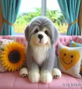 Gorgeous Dog