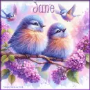 ^Two pretty birds - Jane 