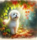 Gorgeous Dog in Autumn