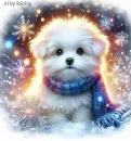 Beautiful Dog at Christmas