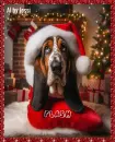 Flash in a Christmas Stocking