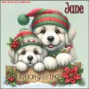 Season Greetings - Jane 