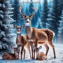 deer family