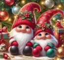 Two Cute Gnomes