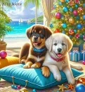 Beautifuil Puppies/Summer Christmas
