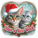 Have a nice week