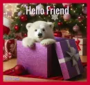 Hello Friend