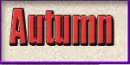 Autumn Button