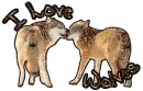I Love Wolves