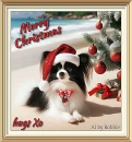 Merry Christmas/Gorgeous Pap