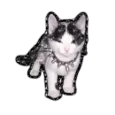 Punk Kitty