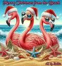 Merry Christmas from the Beach