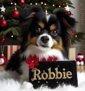 Robbie