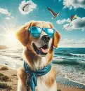 Beautiful Dog on the Beach