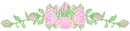 pink roses divider