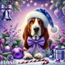 Jessi - for Flash