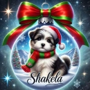Christmas Ornament - Shakela