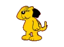 yellow dog looking