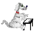 dog with a piano