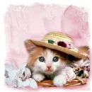 Kitten in Flower Hat