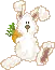 white rabbit
