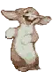 happy rabbit