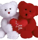 i love you bears