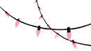 pink string of lights