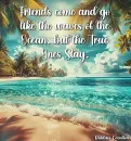 Friendship - by Robbie