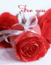 Roses for you