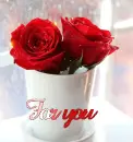 Roses for you