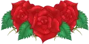 Roses