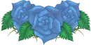 Roses very 2