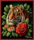 Tiger & Rose Background