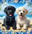 Beach Buddies