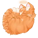 Sleeping kitty