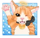 Kitty waves