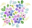 Watercolor Flowers