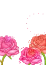 Rose frame