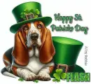 Jessi for Flash St' Patrick's Day 