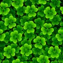 Clovers 