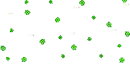 shamrock floaties