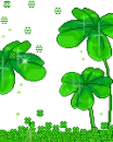 shamrock frame